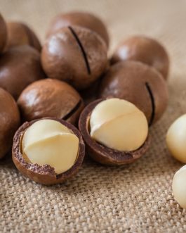 Macadamia Nut