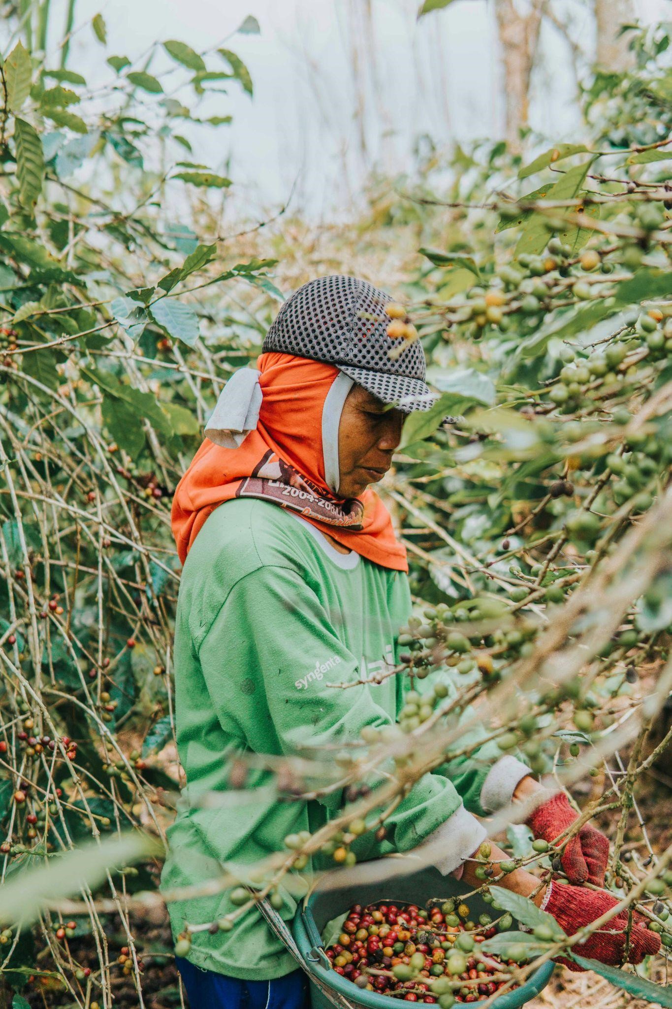 You are currently viewing Brewing Ethical Success: The Benefits of Using Fair trade Coffee Beans in Your Business